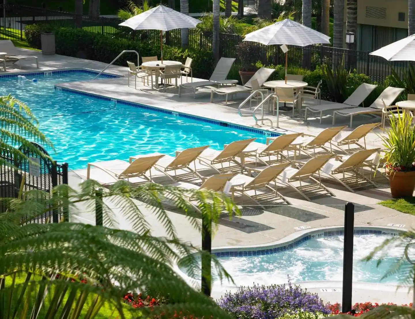 Sheraton La Jolla Hotel Pool