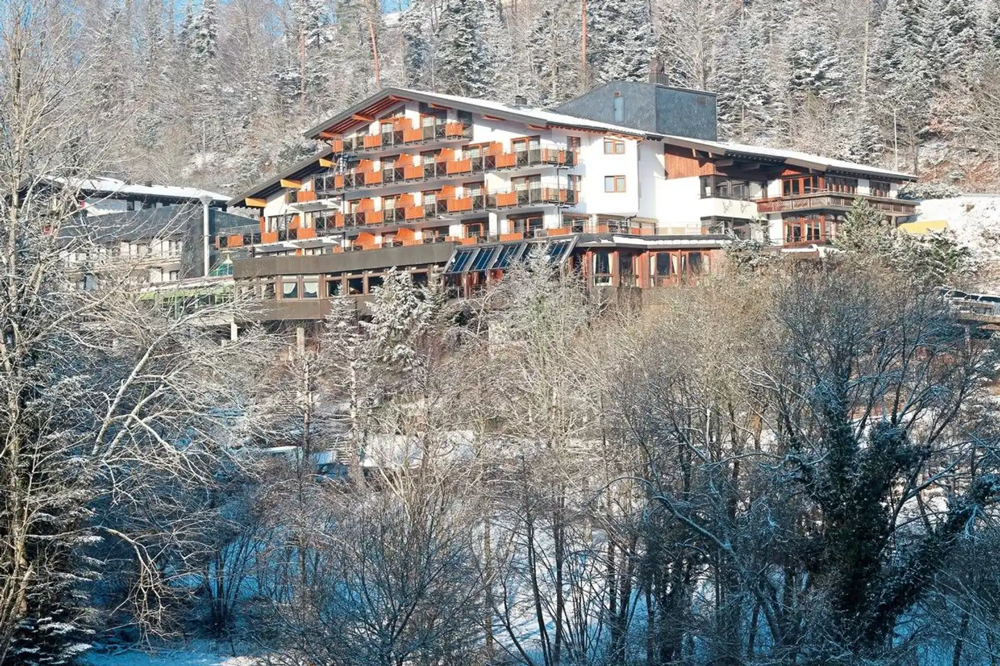 Ringhotel Mönchs Waldhotel Tiere