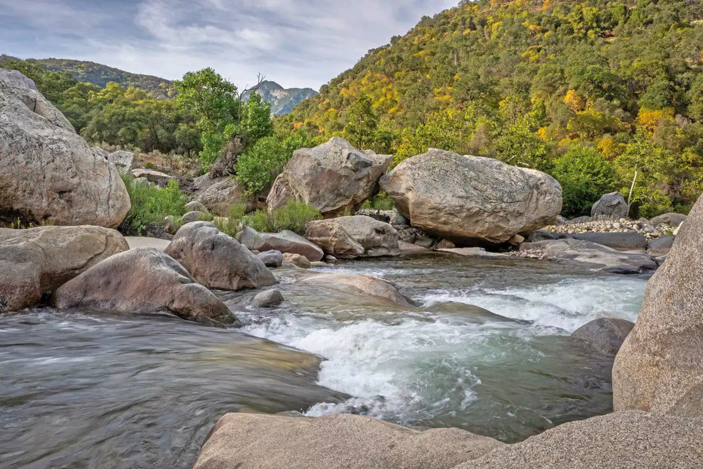 Buckeye Tree Lodge Landschaft