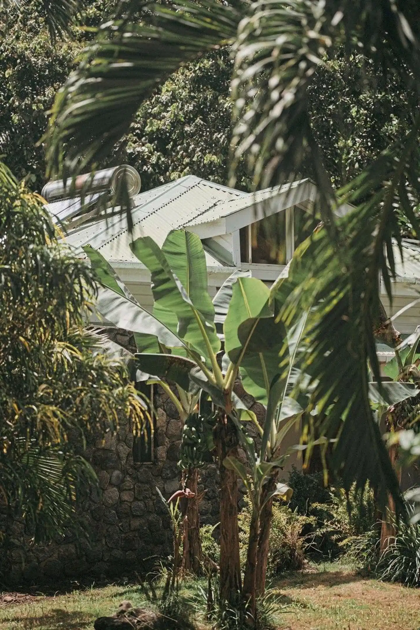 Citrus Creek Plantation Aussenansicht