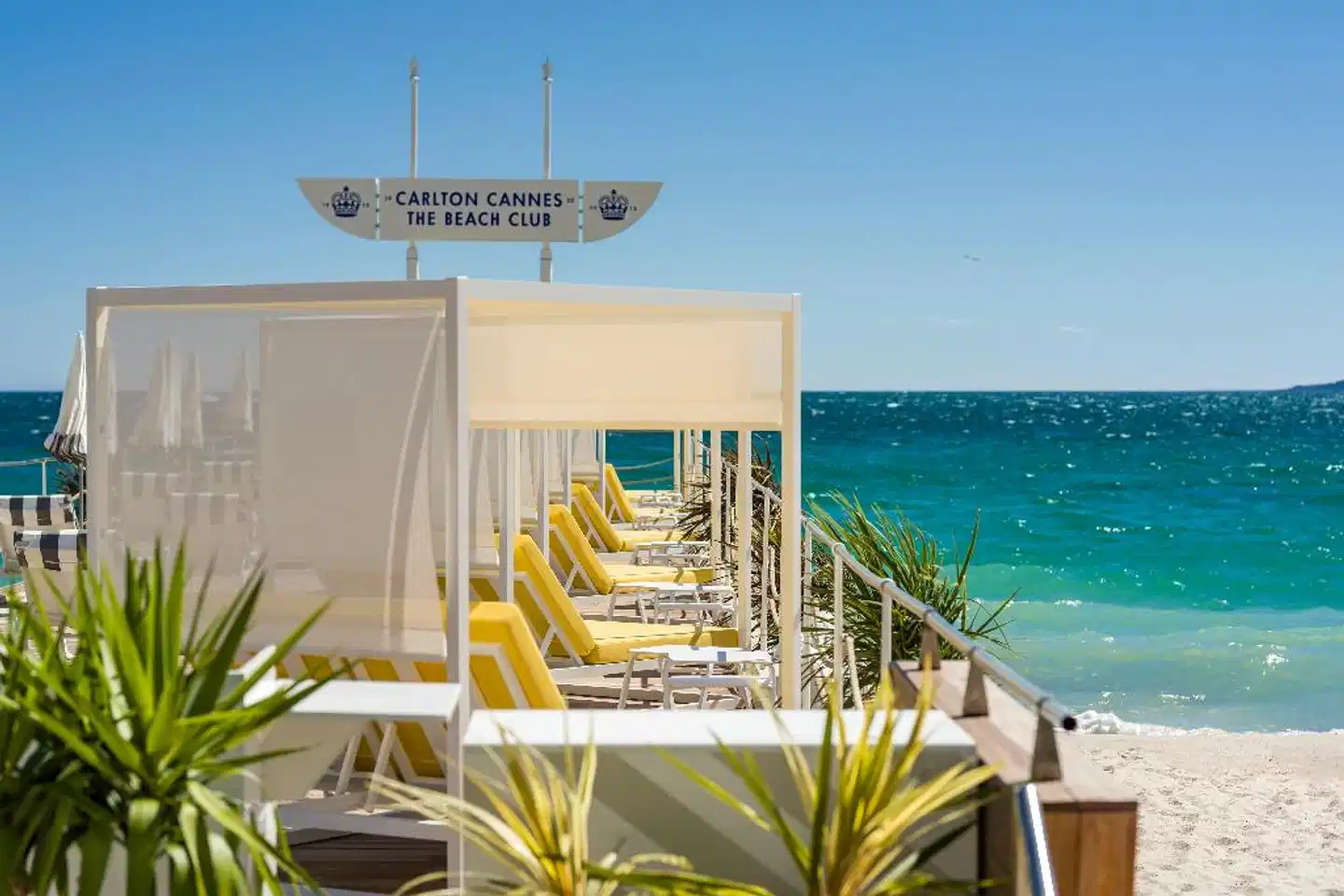 Carlton Cannes, a Regent Hotel Terrasse