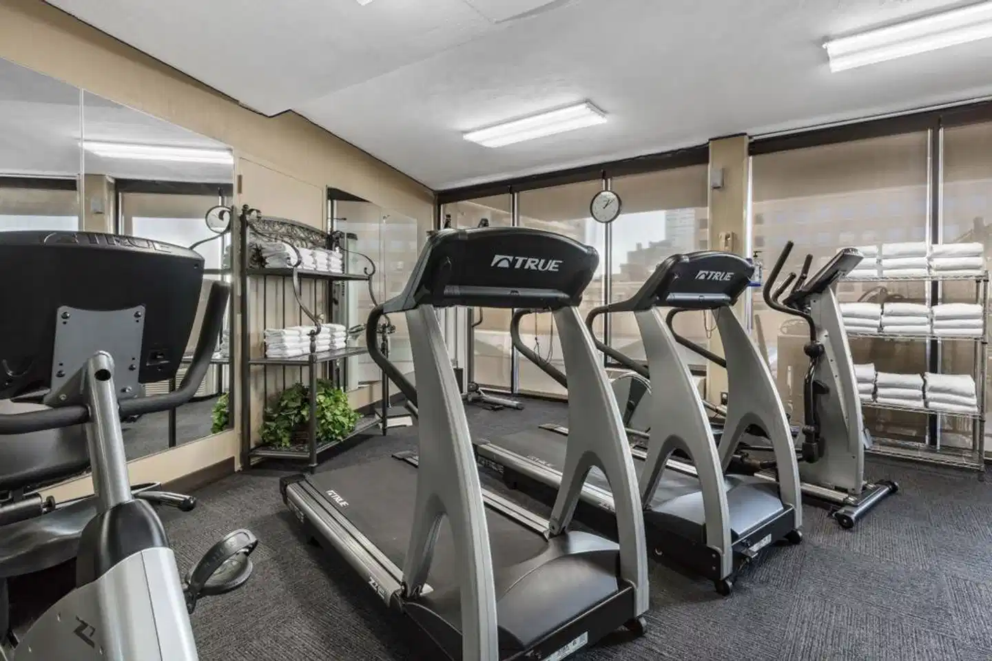 Comfort Inn Downtown Memphis Sport und Entertainment