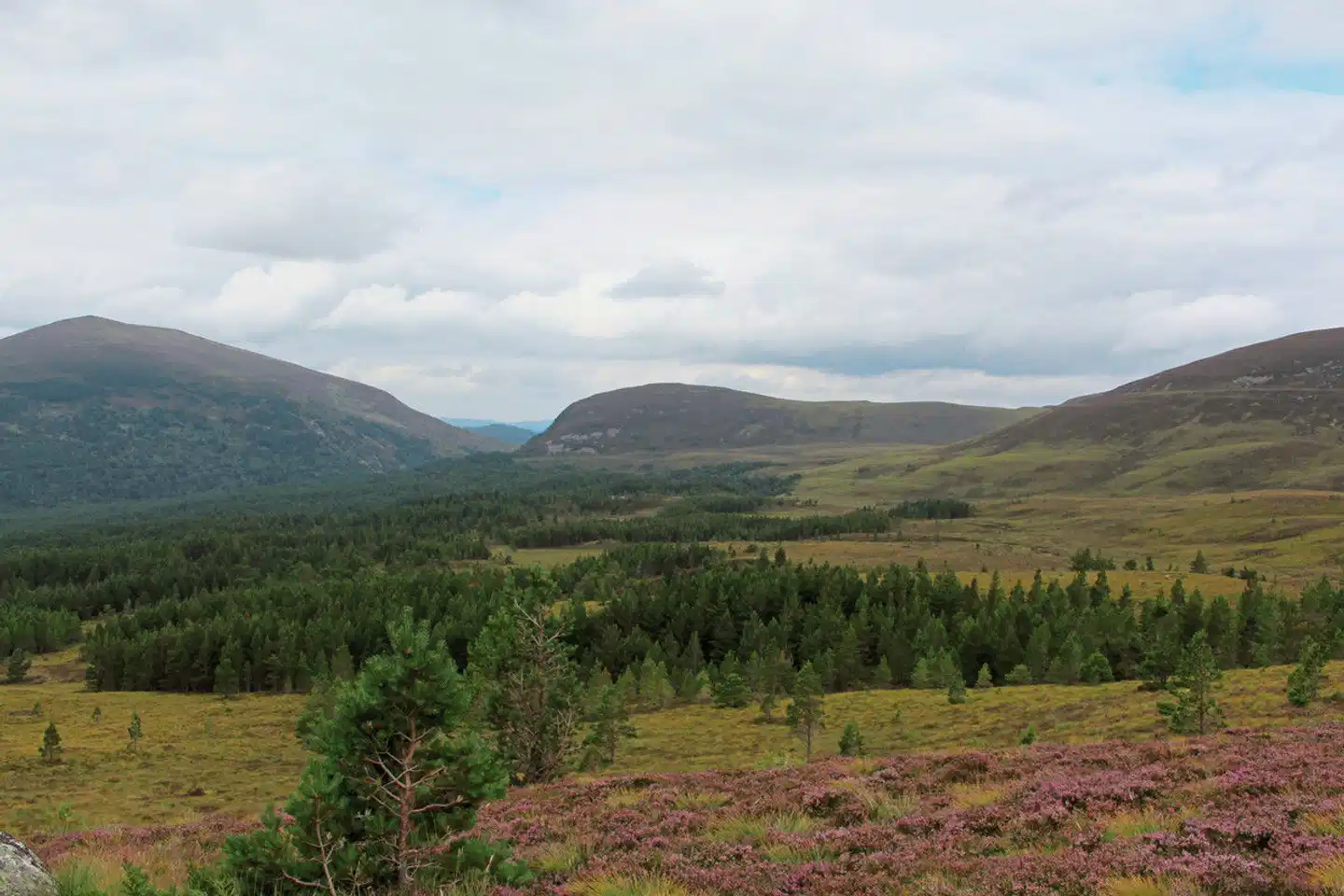Schottland im Rampenlicht inkl. Norden 11 Nächte Landschaft