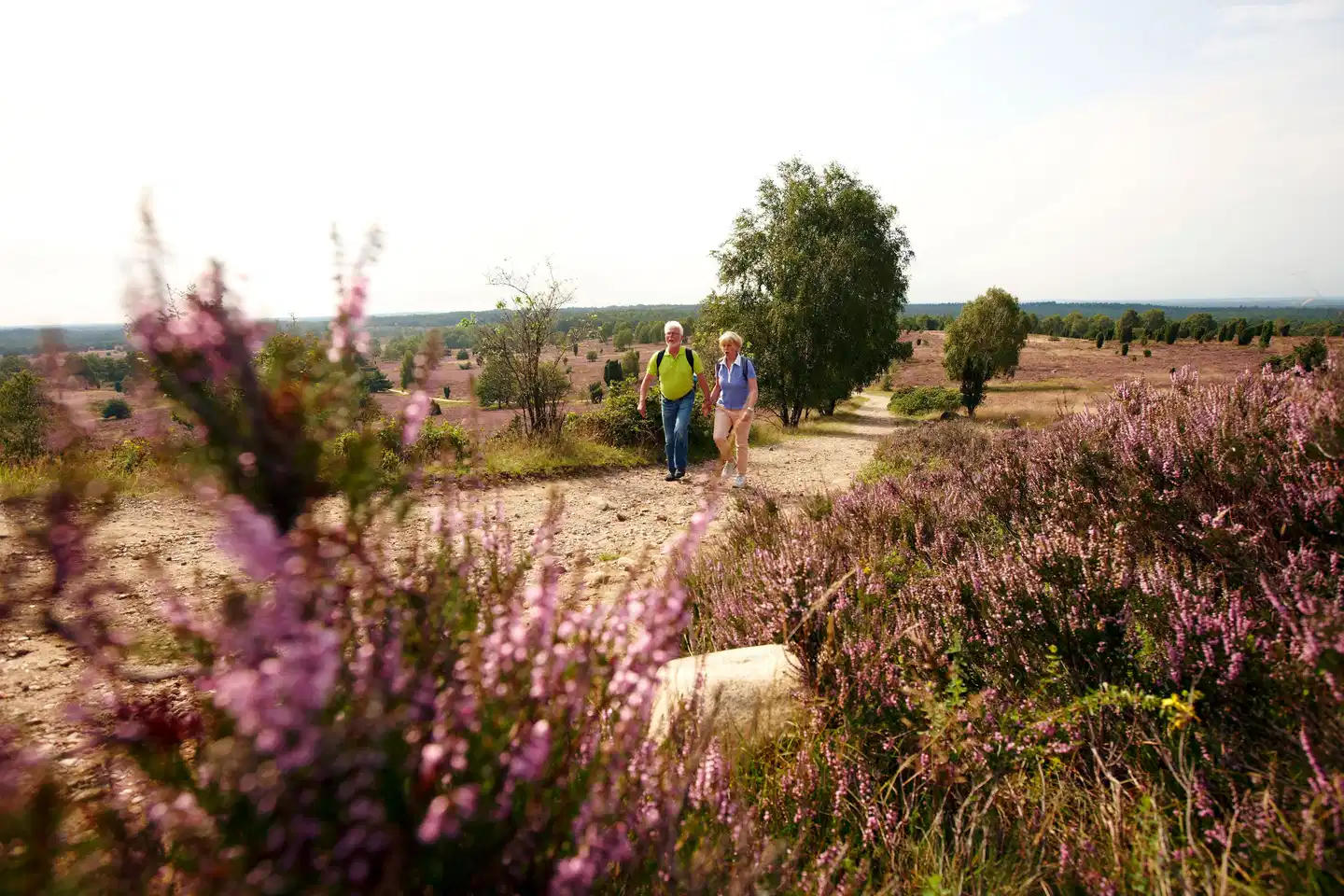 Best Western Heidehof Landschaft