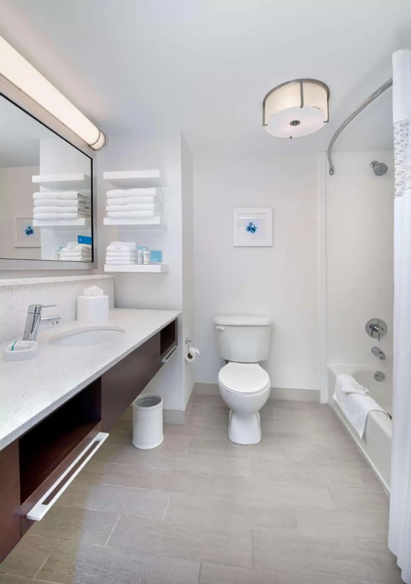 Hampton Inn Naples-I-75 Badezimmer