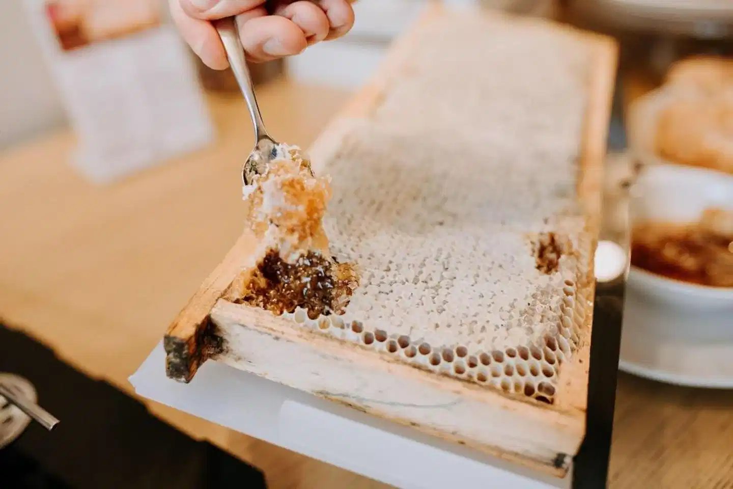 Hotel Villa Patriarca Wellness