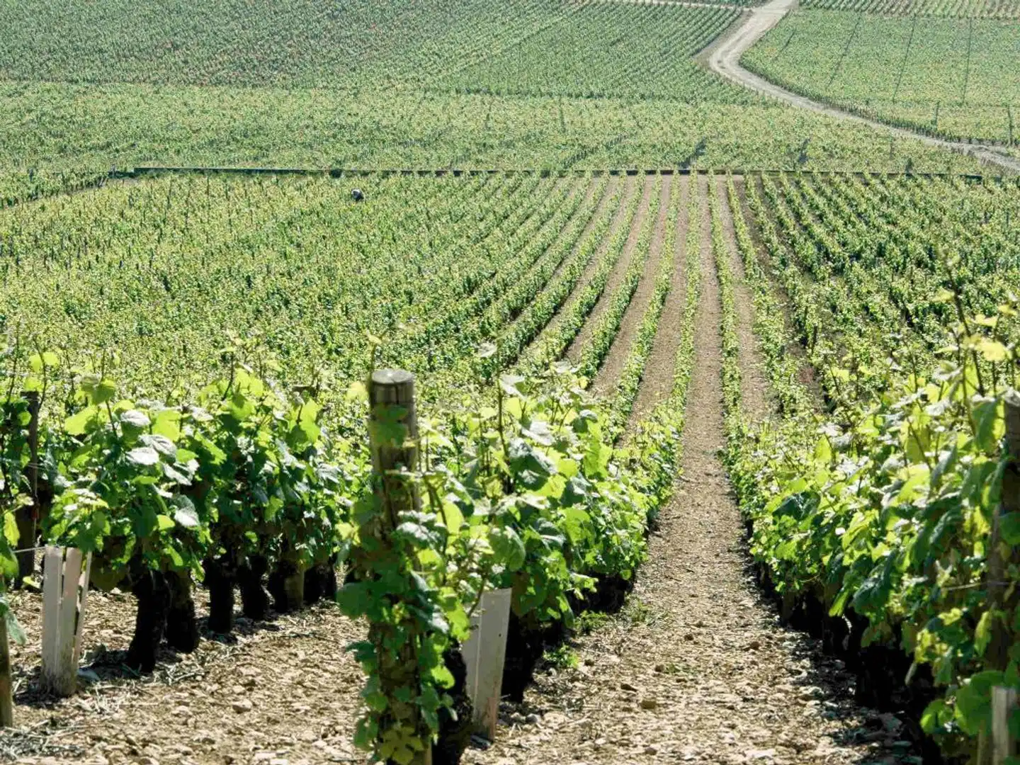ibis Dijon Gare Landschaft