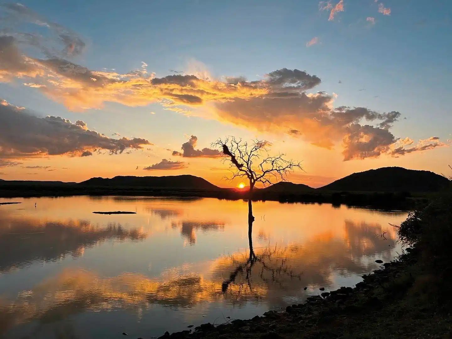 Motswiri Private Safari Lodge Landschaft