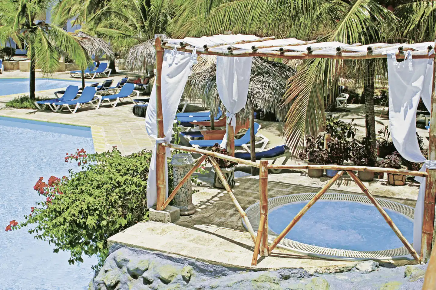 Starfish Cayo Largo Strand