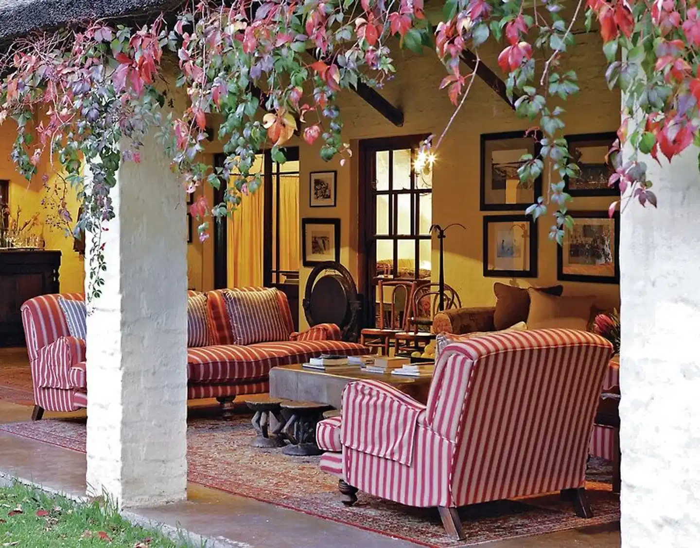 Elephant House Terrasse