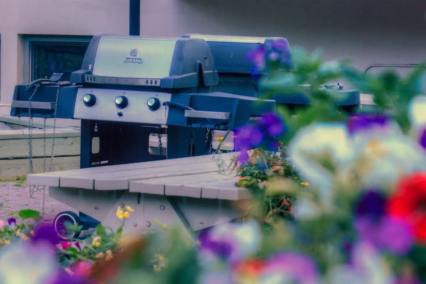 Tunnel Mountain Resort Tiere