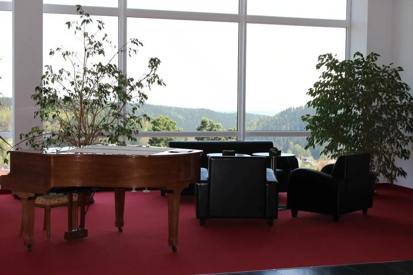 Ferien Hotel Rennsteigblick Bar