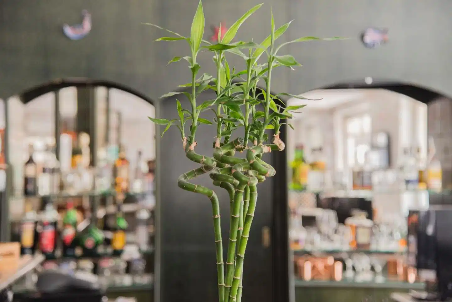 Riva Del Sole Badezimmer