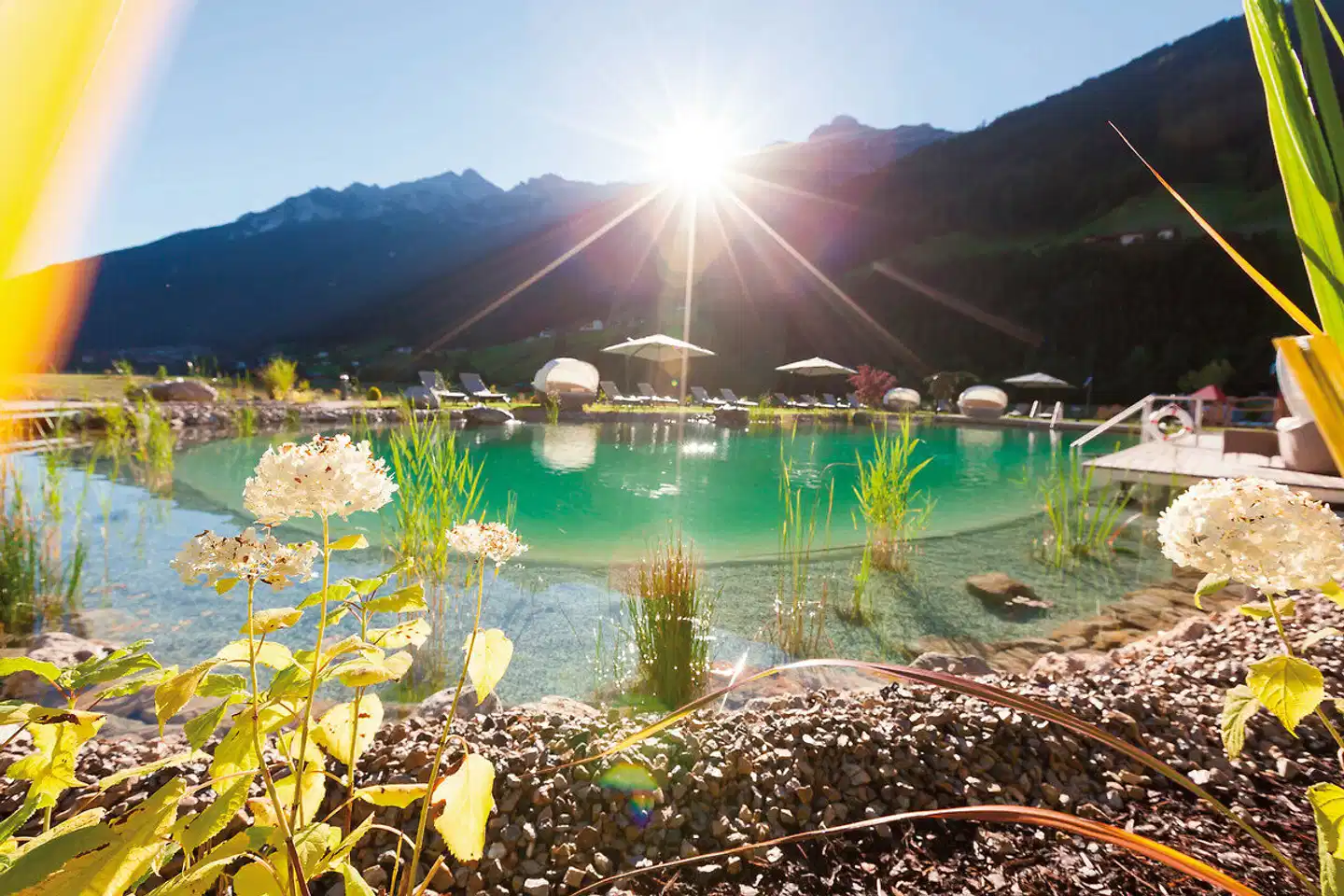 Alpeiner Nature Resort & Spa Tirol Pool