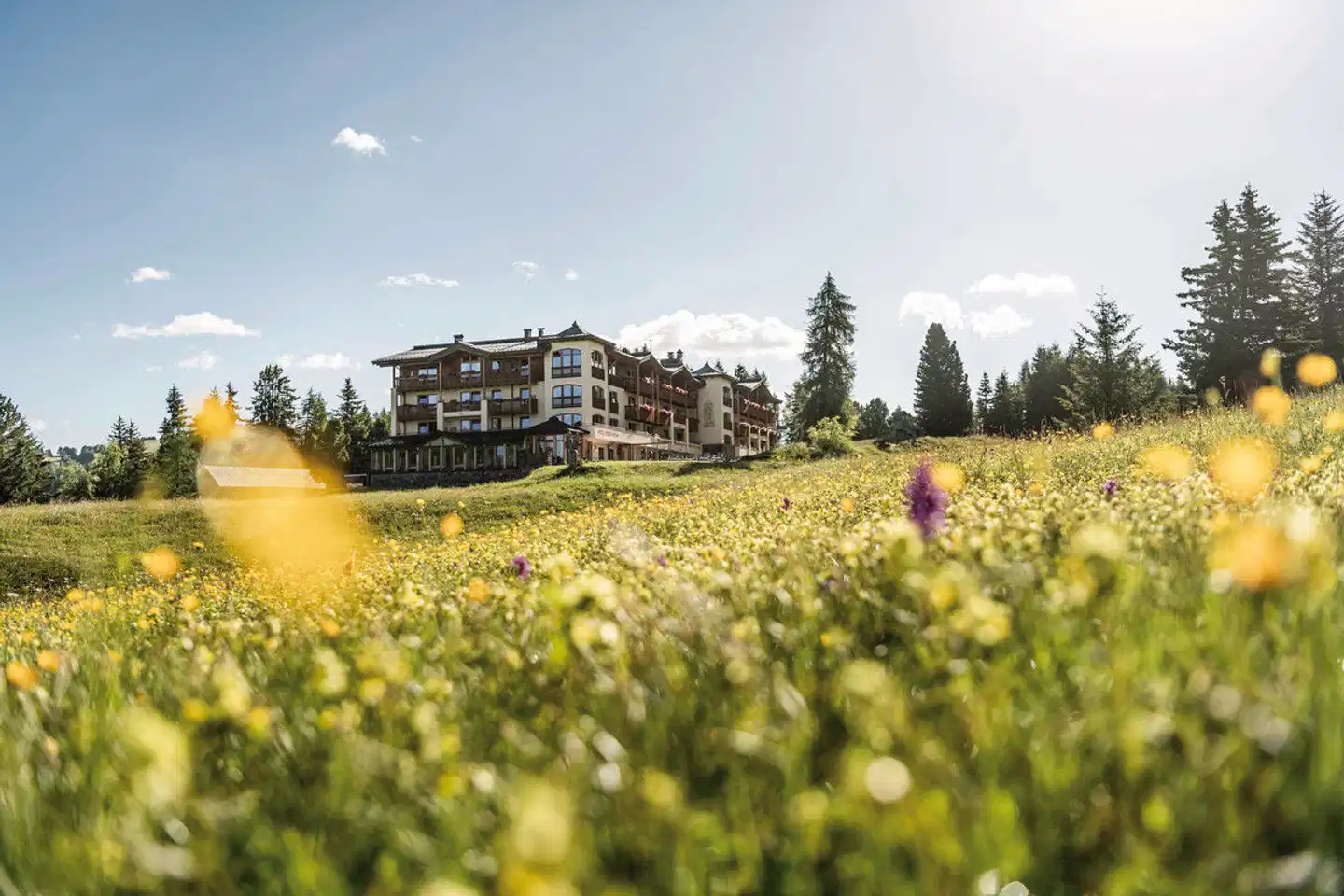 Hotel Steger-Dellai Landschaft