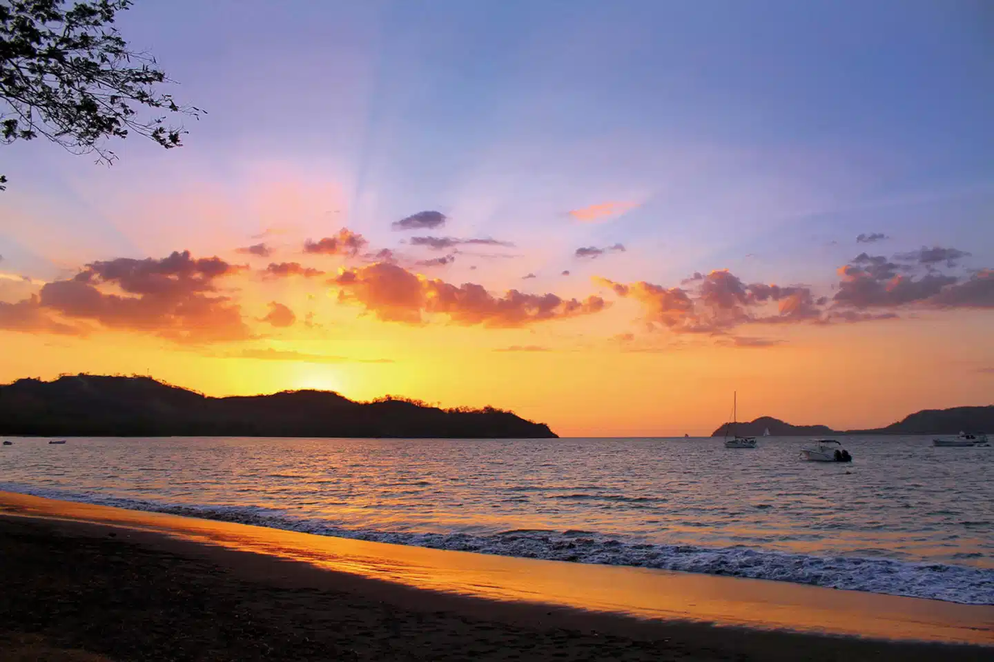 El Mangroove, Autograph Collection Landschaft