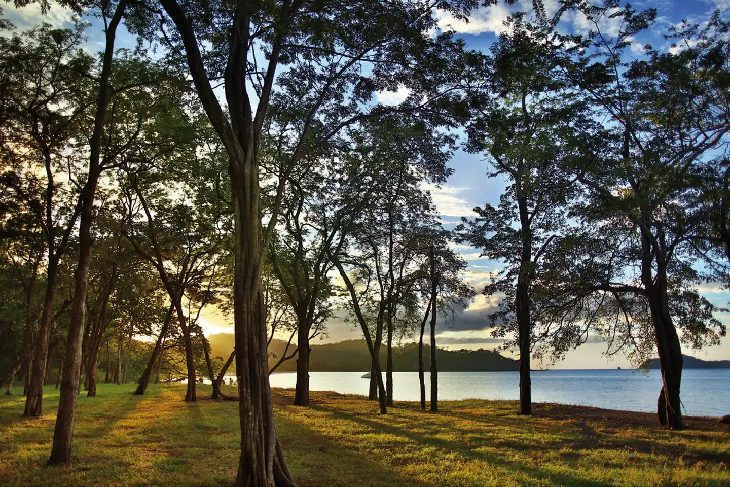 El Mangroove, Autograph Collection Landschaft