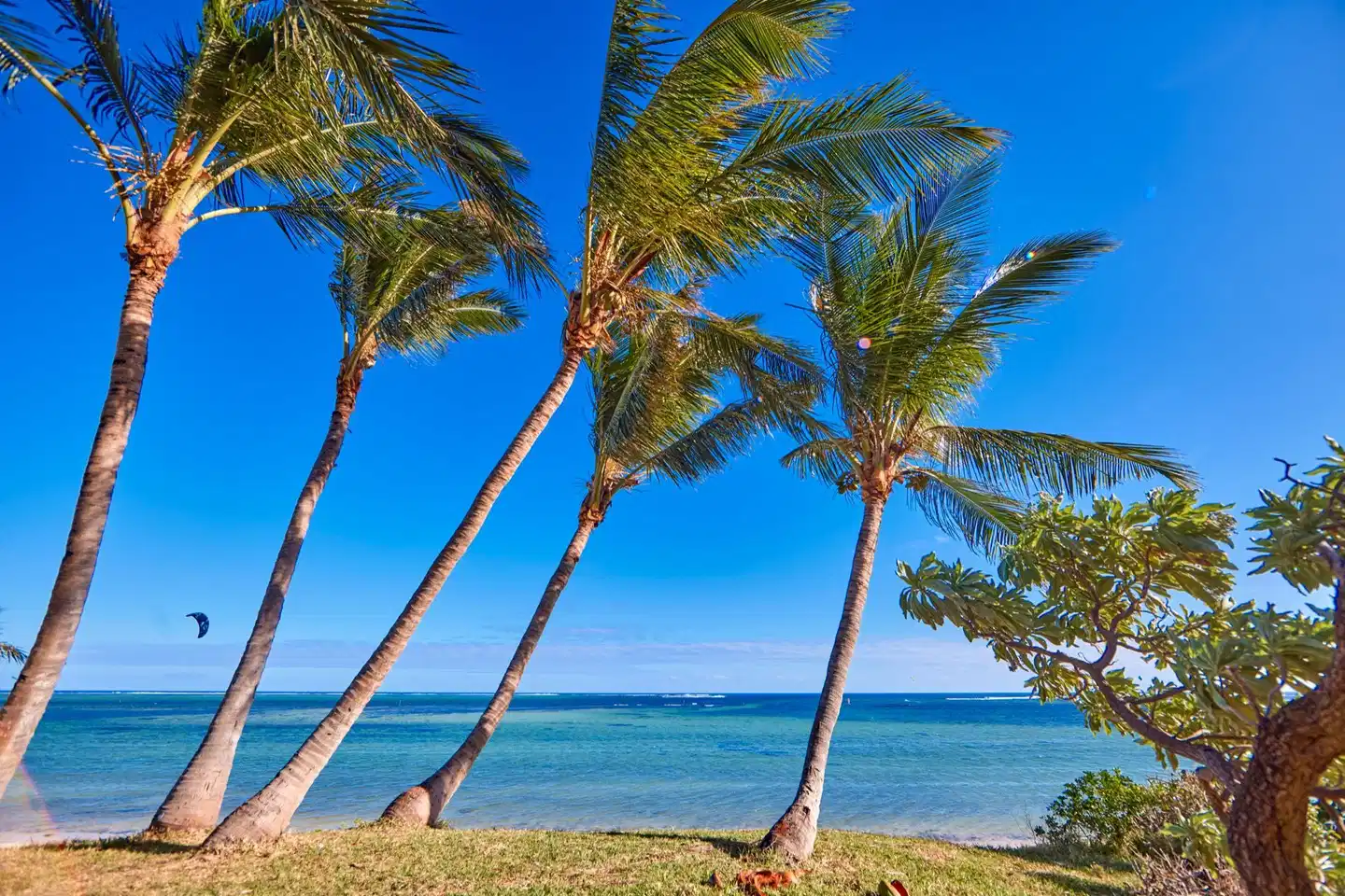 RIU Turquoise Strand