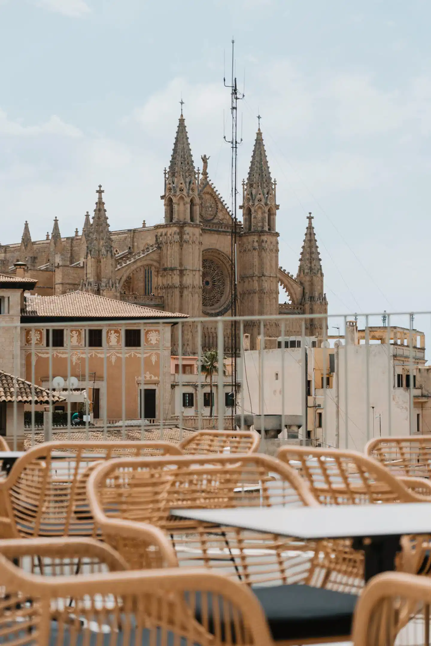 Nivia Born Boutique Terrasse