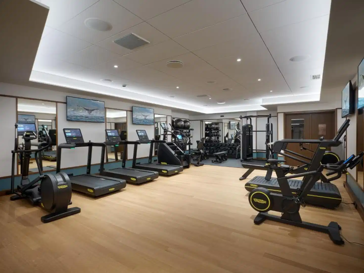 Iceland Parliament Hotel, Curio Collection By Hilton Sport und Entertainment