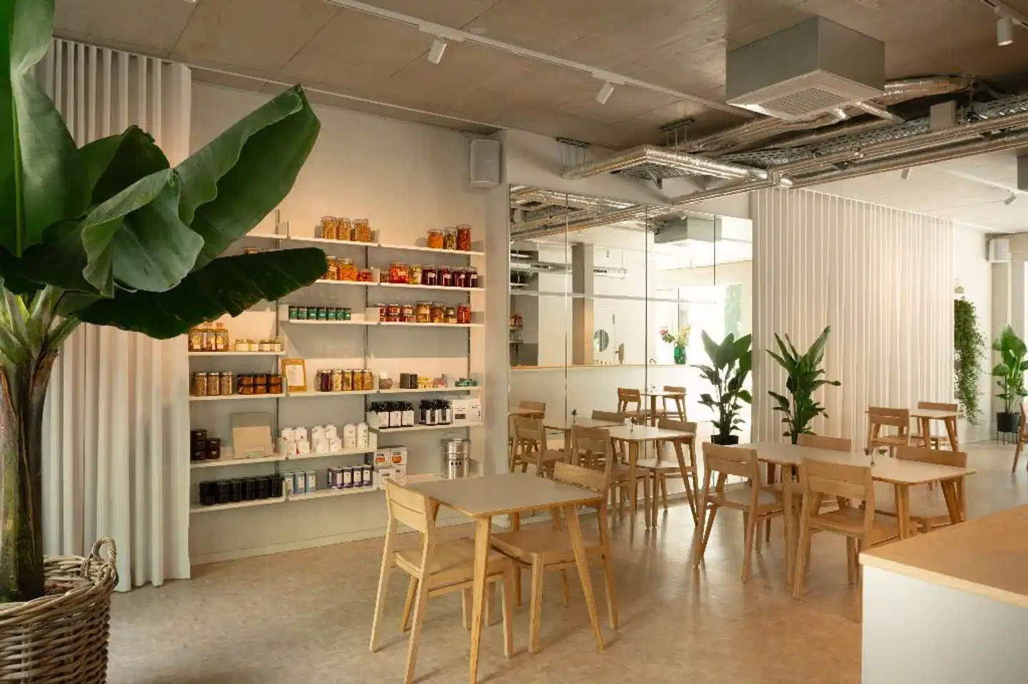 Carlotta Apartments Bar