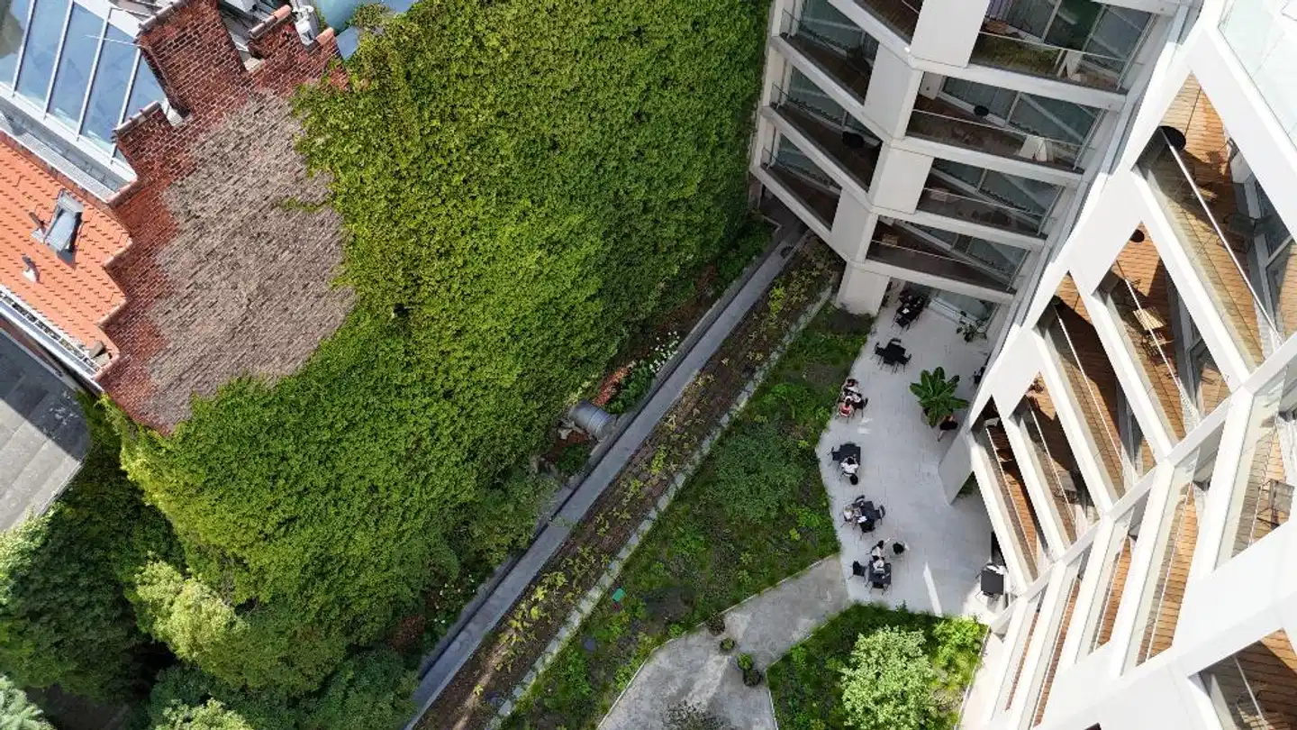 Carlotta Apartments Garten