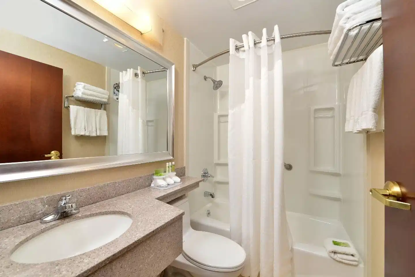 Holiday Inn Express Kennedy Airport Badezimmer