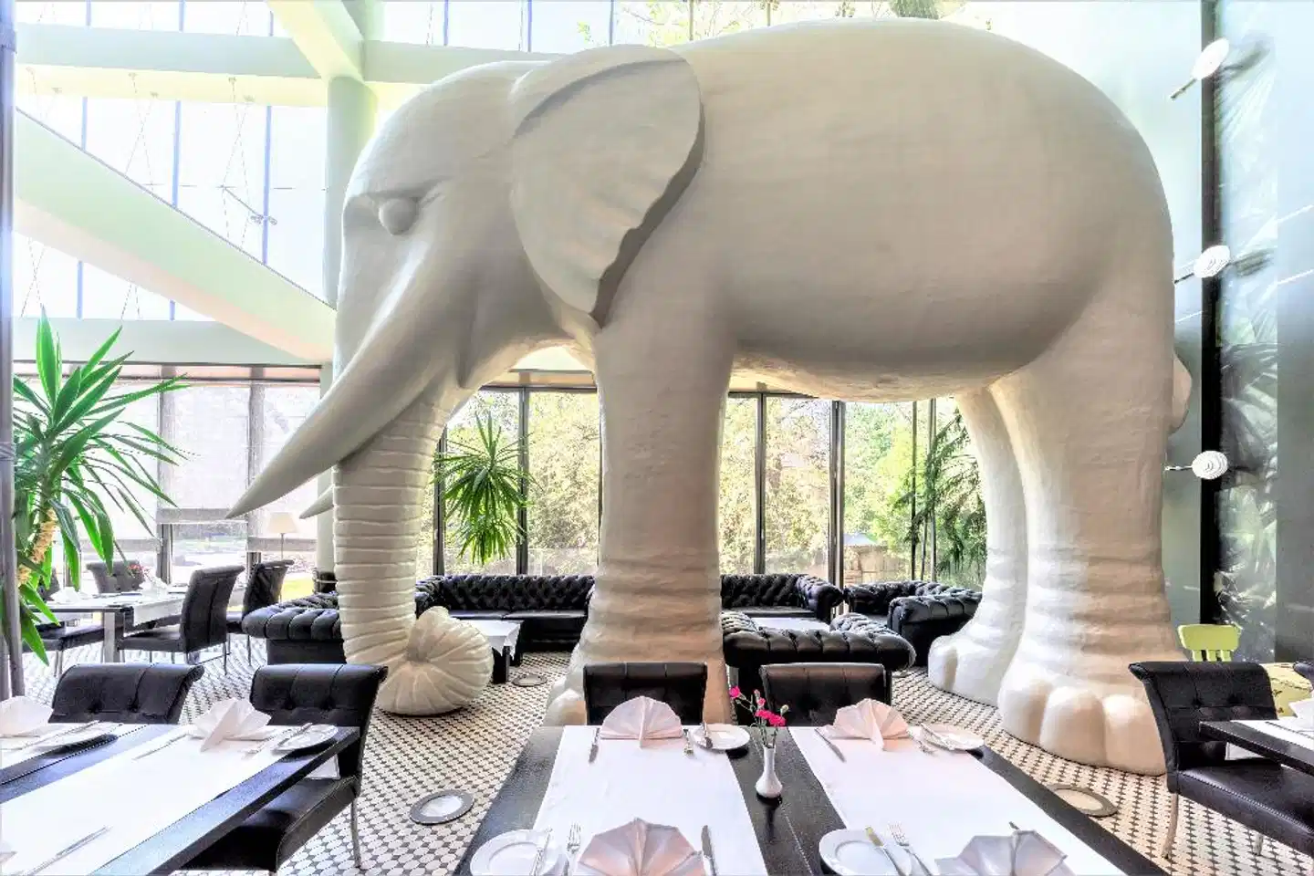 Rixwell Elefant Hotel Restaurant
