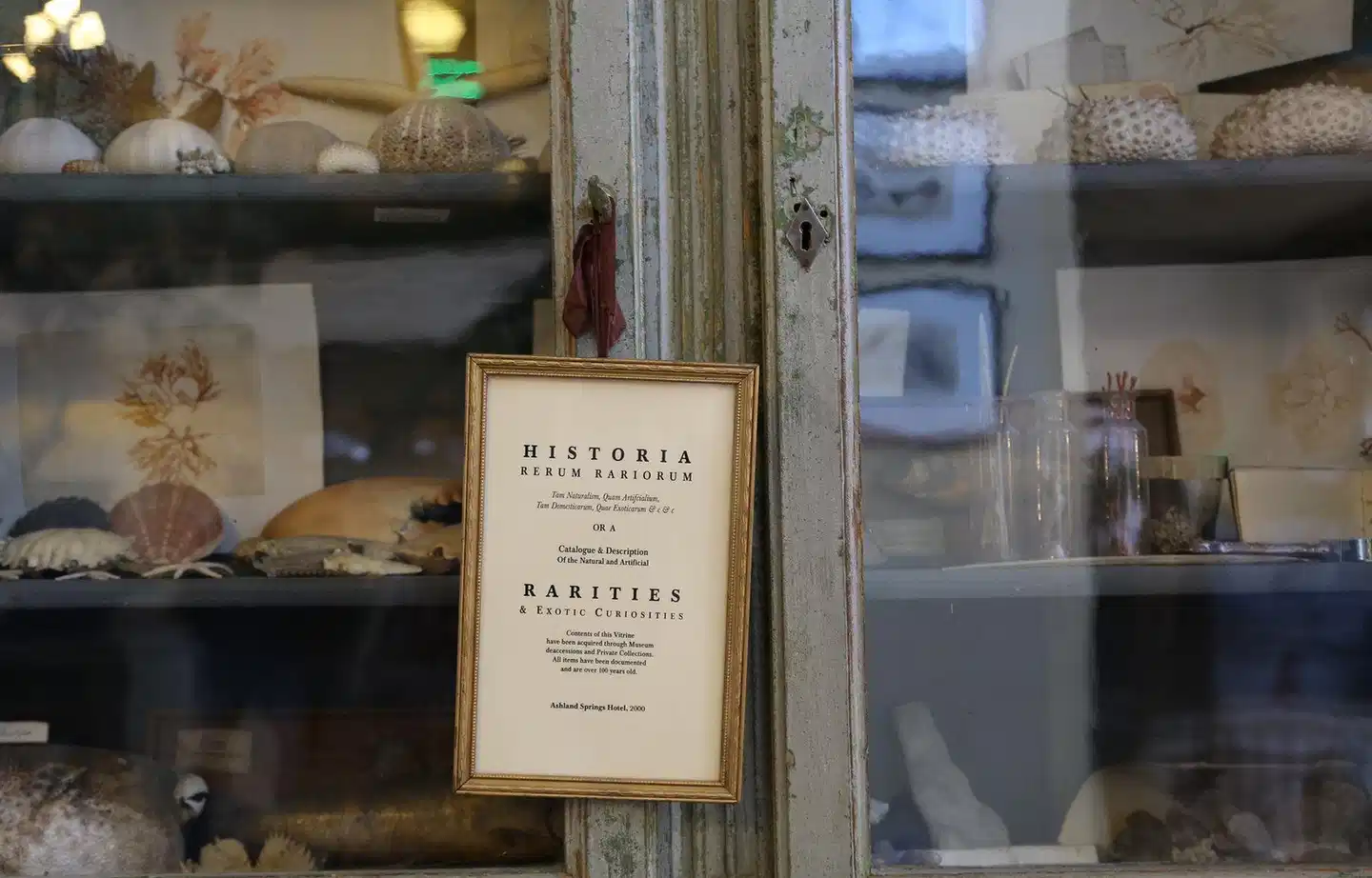 Ashland Springs Hotel Lobby