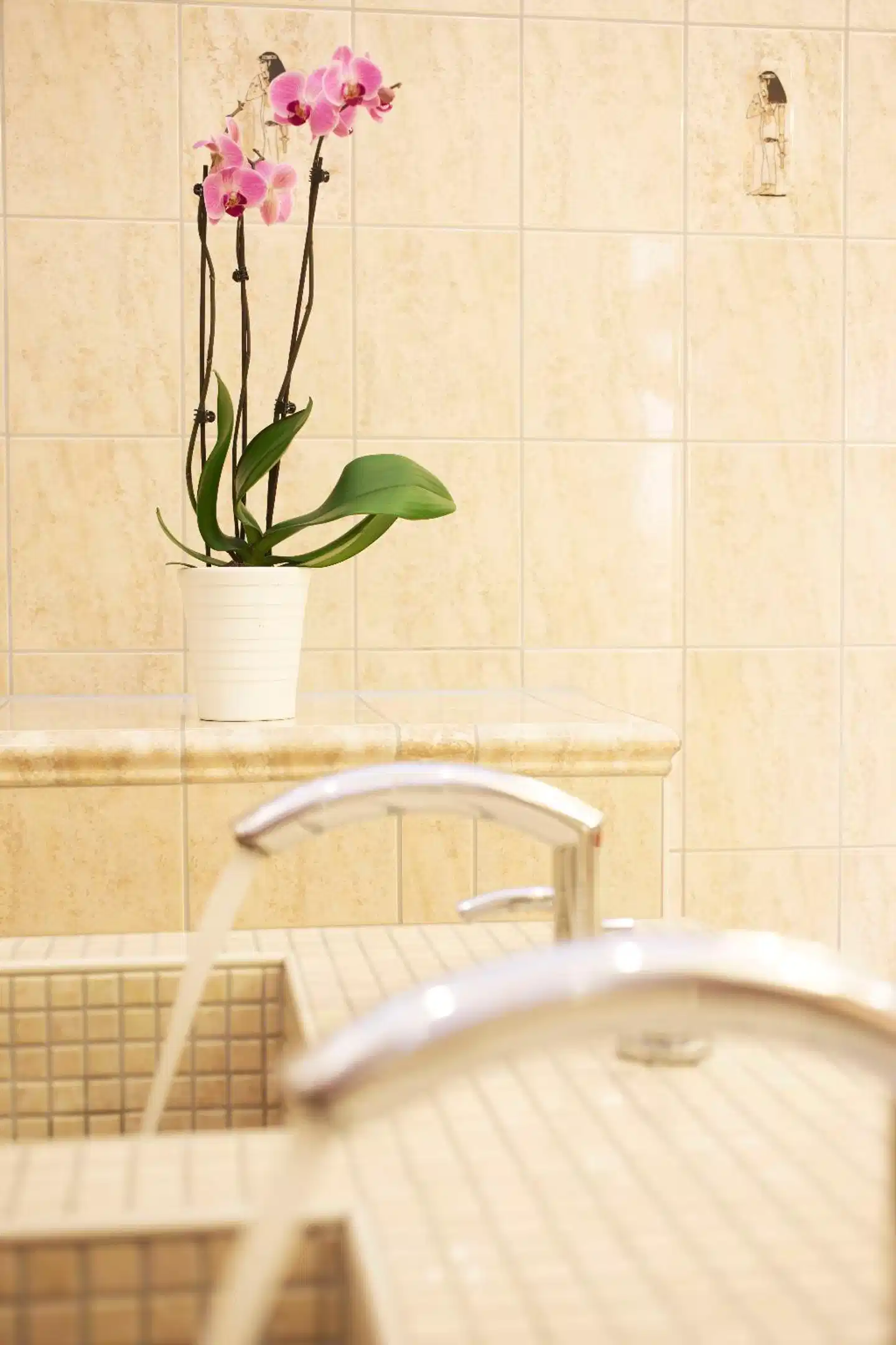 Hollywood Media Badezimmer