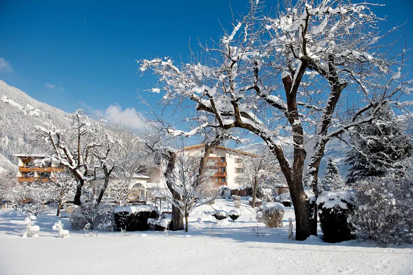 Landgut Zapfenhof Landschaft