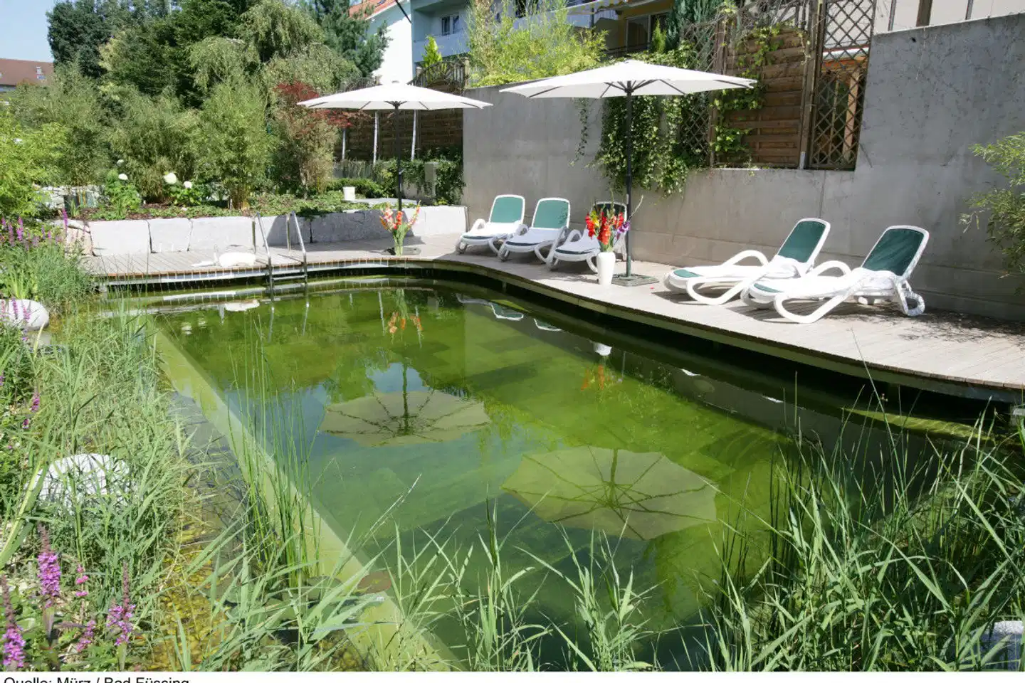 Wunsch Hotel Mürz Pool