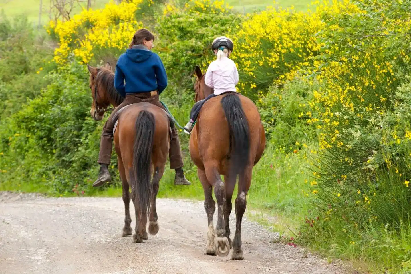 Fattoria Pieve A Salti Tiere