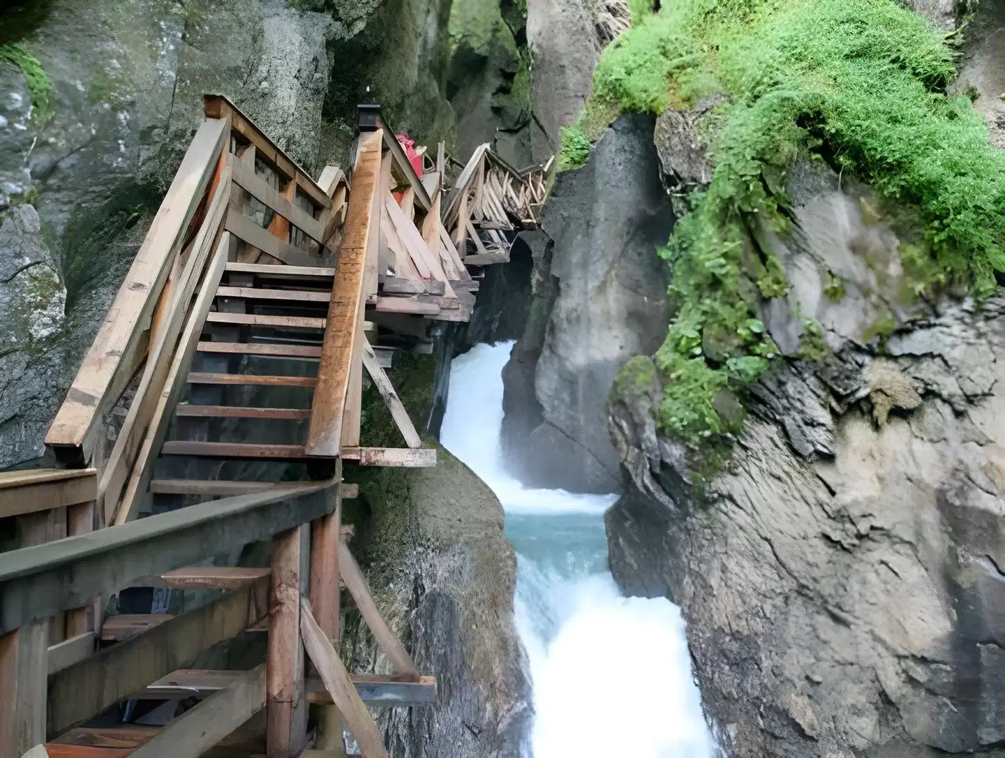 Apartmenthaus Griesser Tiere