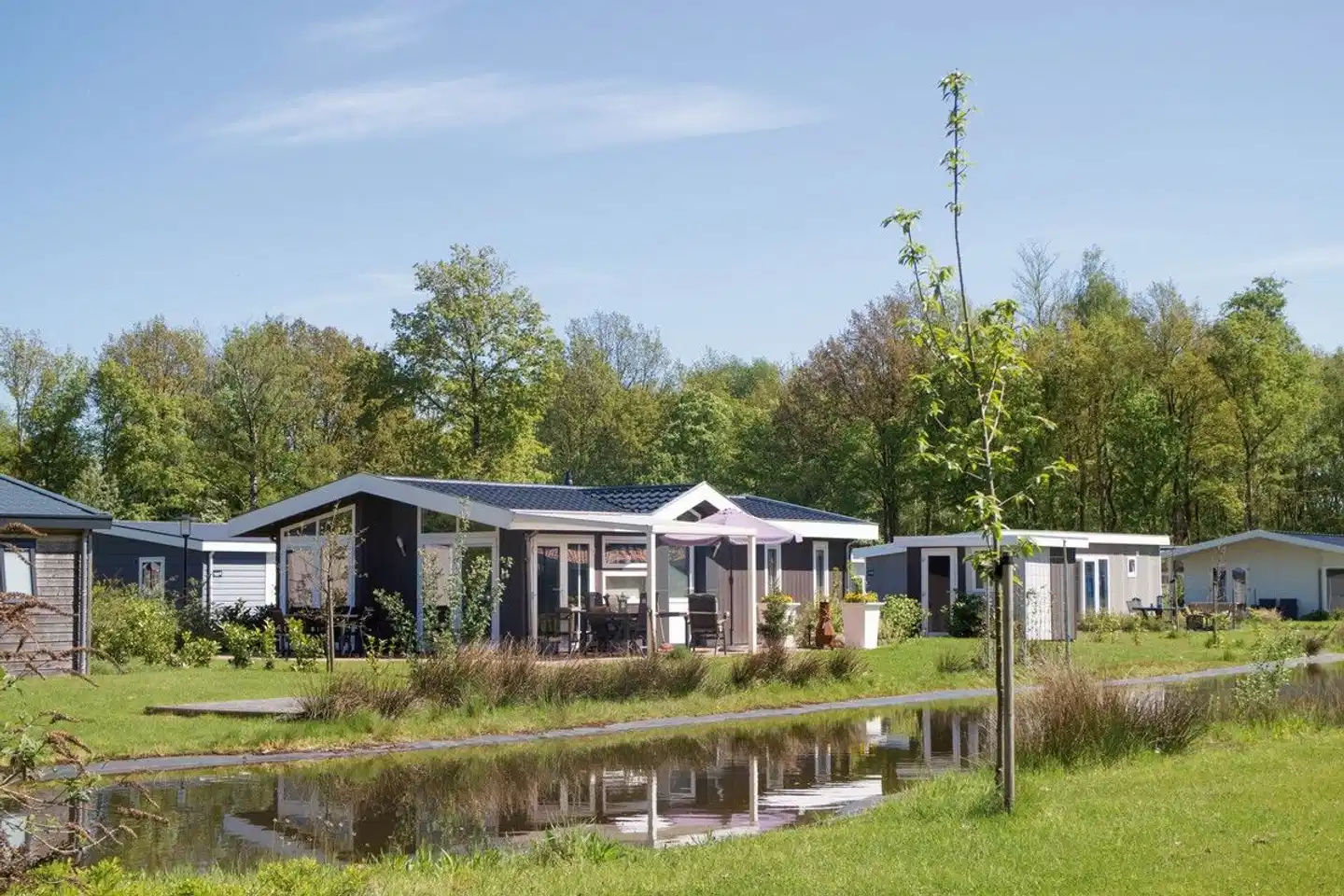 EuroParcs Reestervallei Landschaft