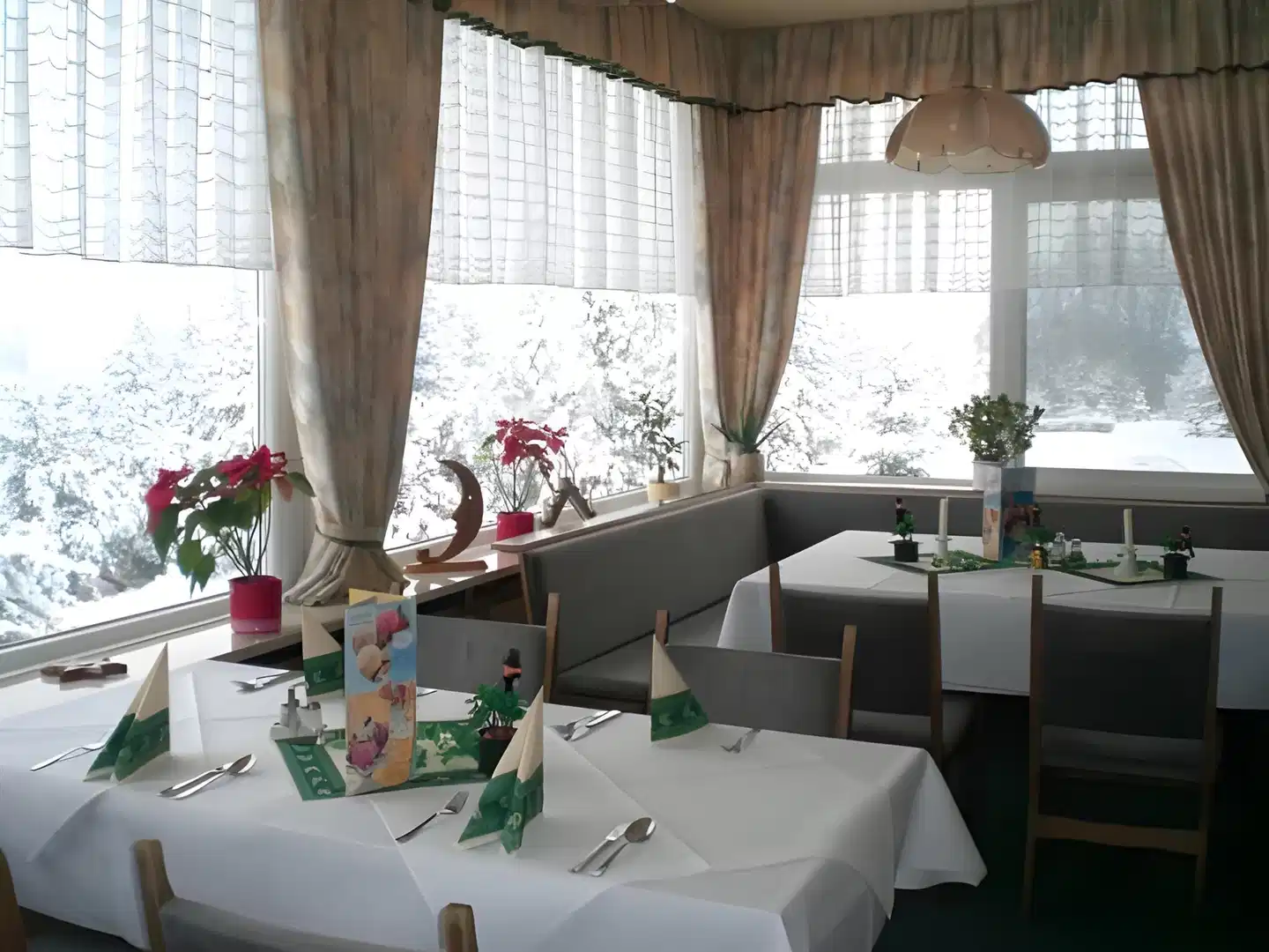 Panorama Ferien Hotel Harz Restaurant