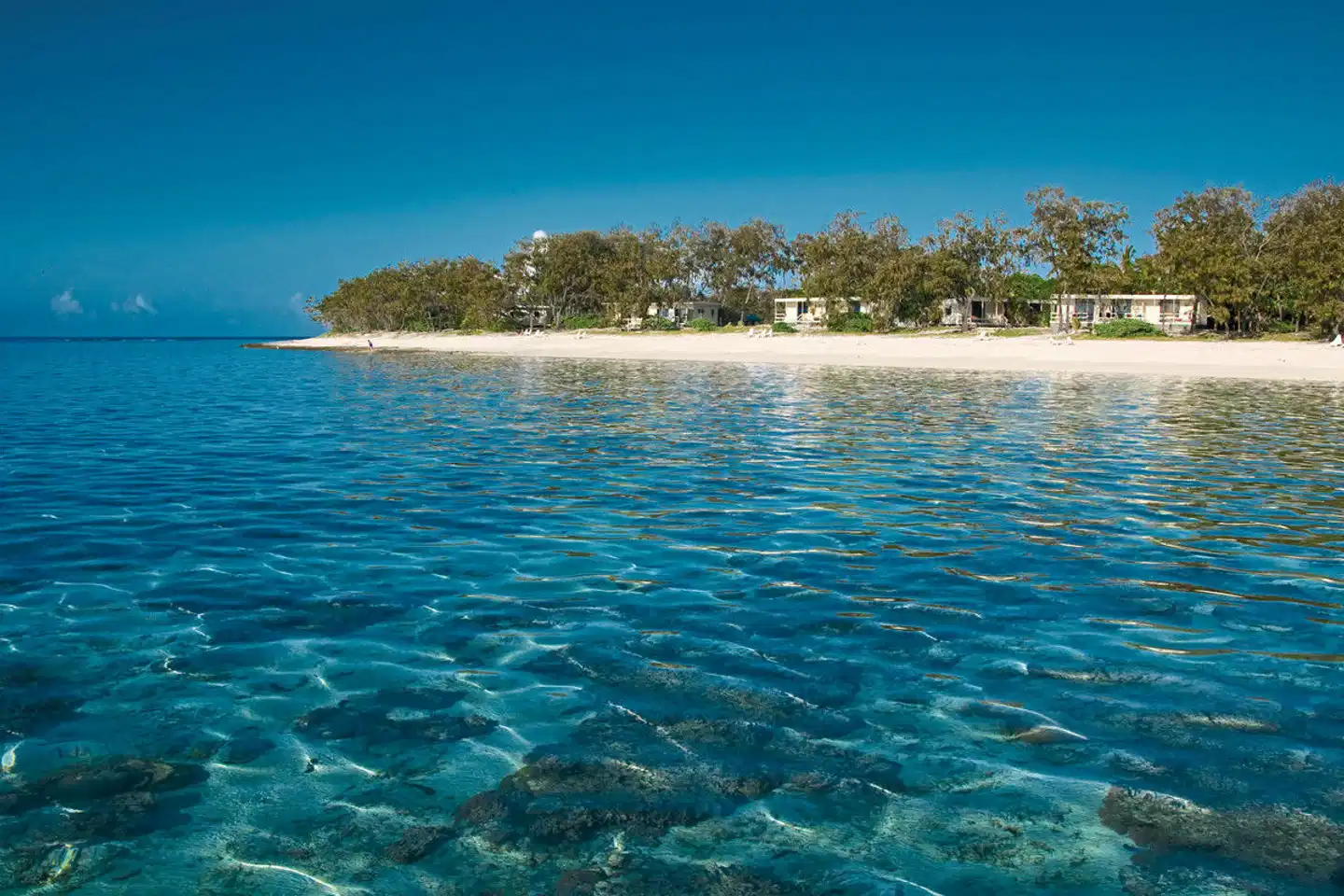 Lady Elliot Island Eco Resort Landschaft