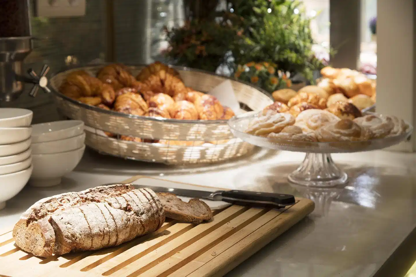 Ofelias Hotel Wellness