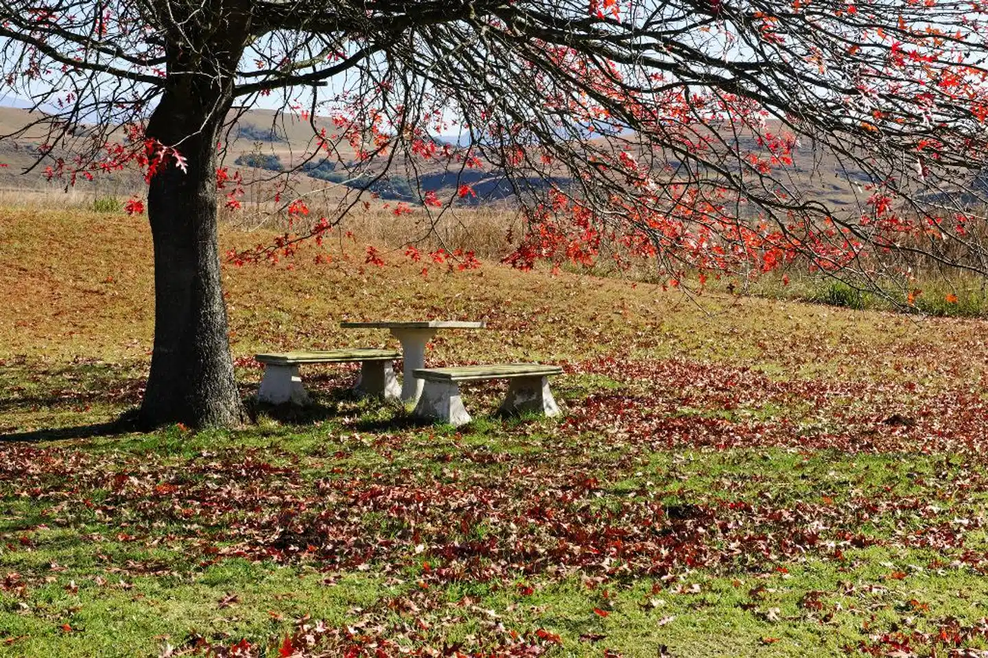 Moorcroft Manor Garten