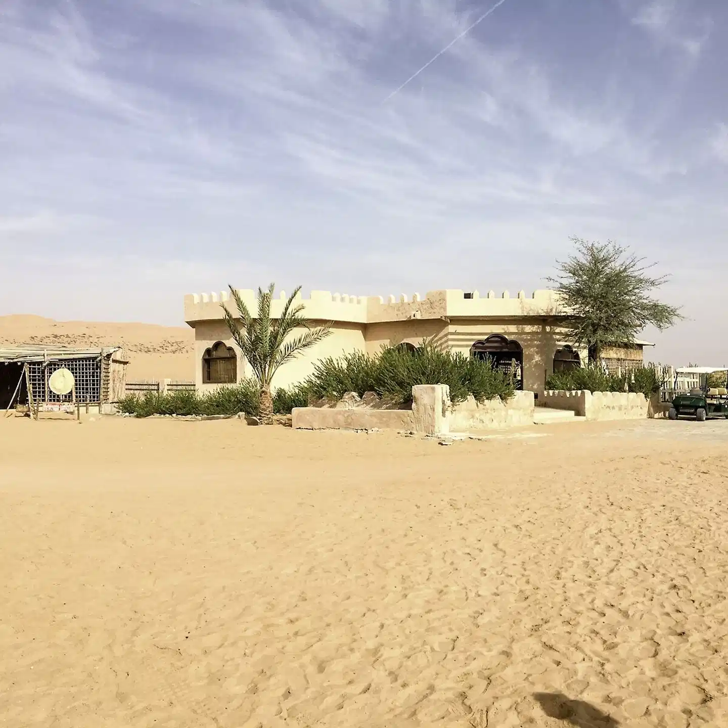 Arabian Oryx Camp Strand