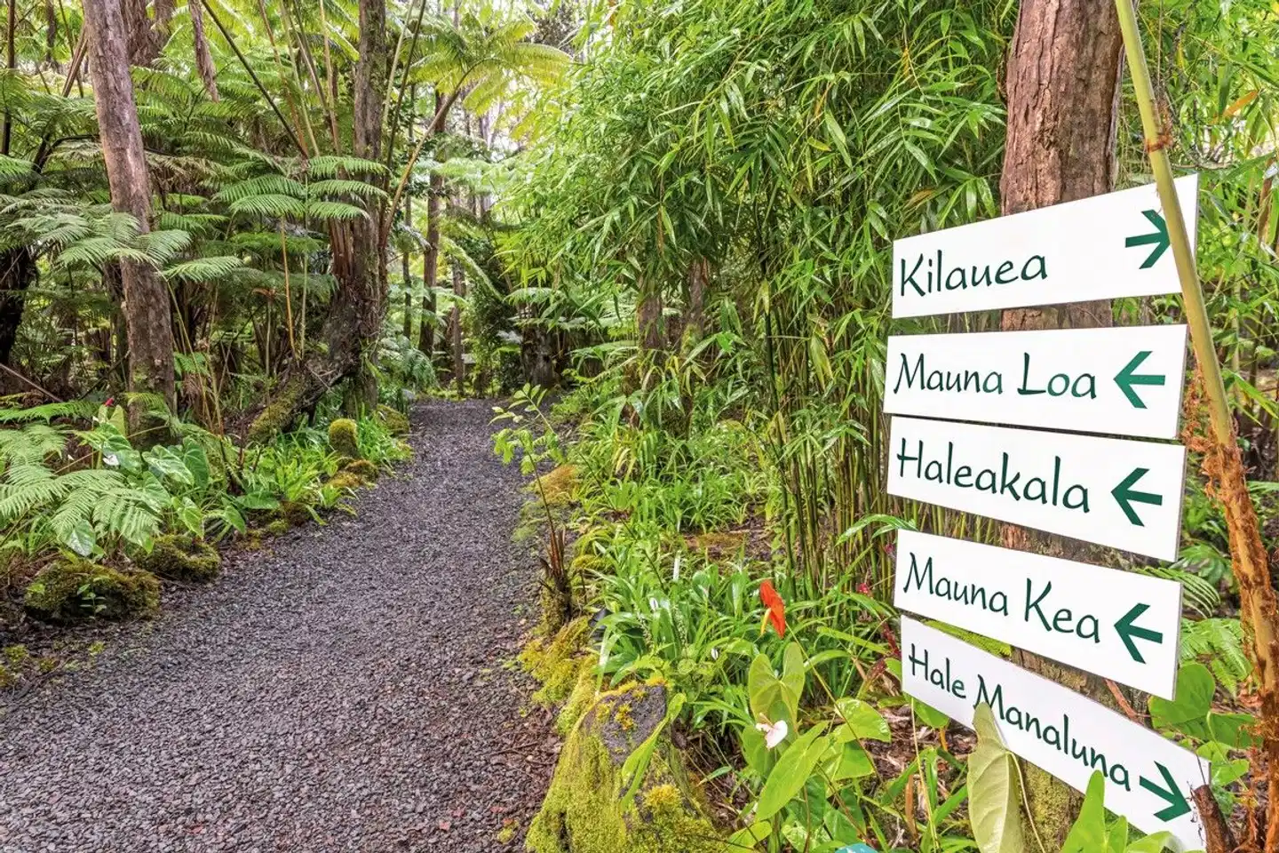 Volcano Village Lodge Garten