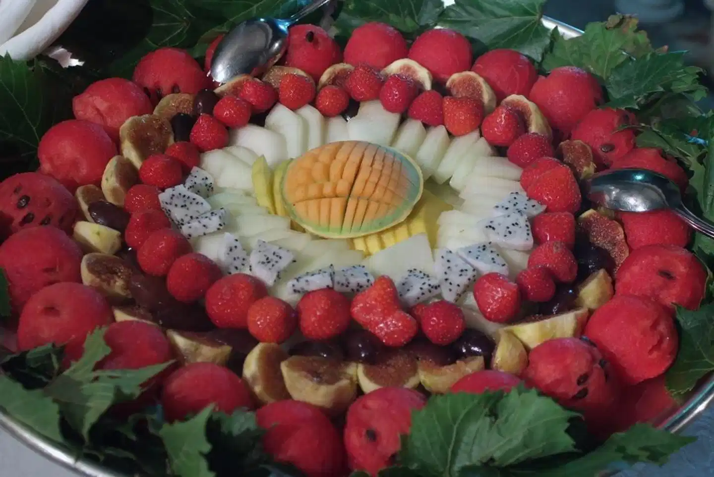 Sierra Silvana Tiere