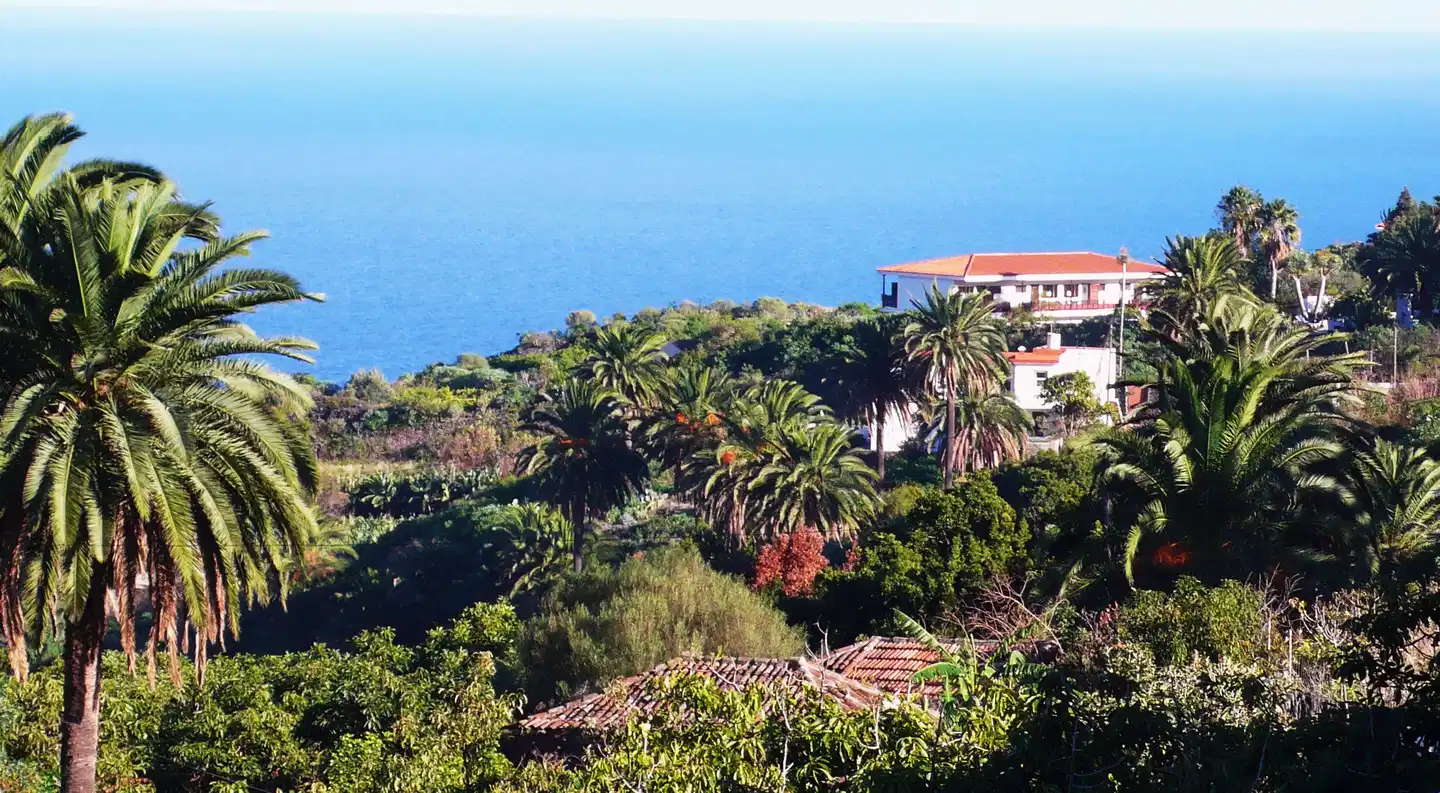 Apartamentos Miranda Landschaft