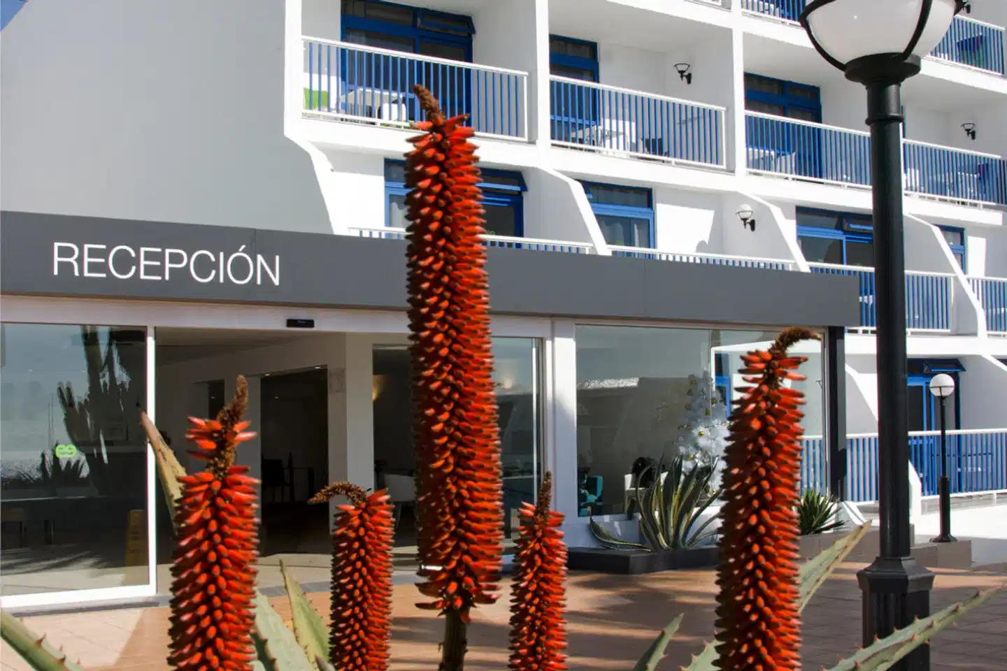 Ereza Apartamentos Los Hibiscos - Adults only Aussenansicht