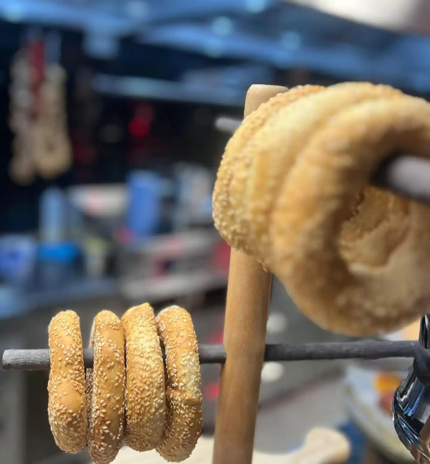 Anise Aluma Athens, Tapestry Collection by Hilton Tiere