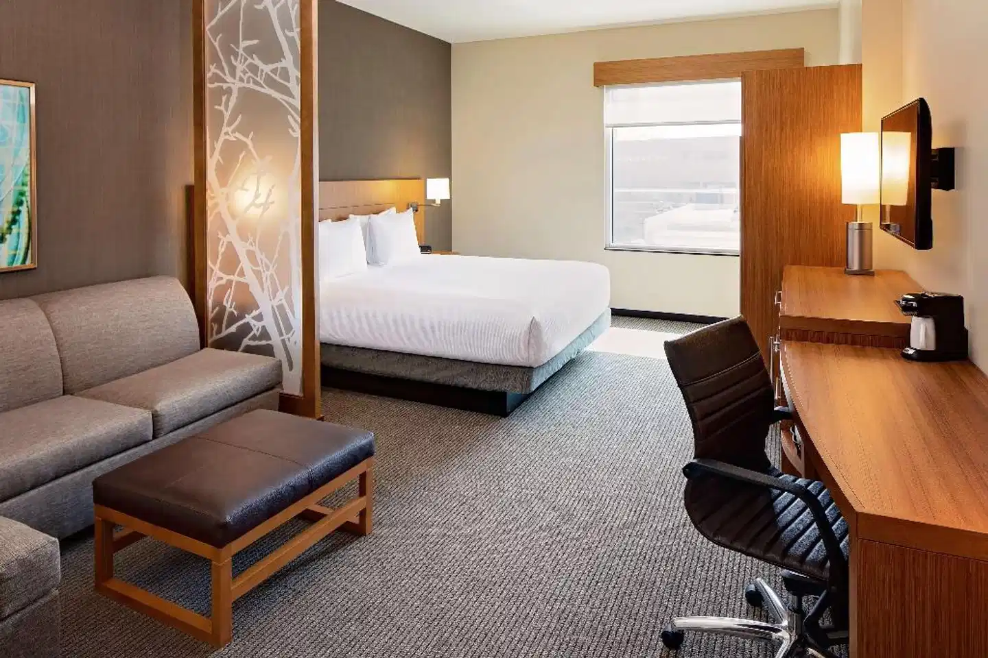 Hyatt Place Glendale/Los Angeles Wohnbeispiel