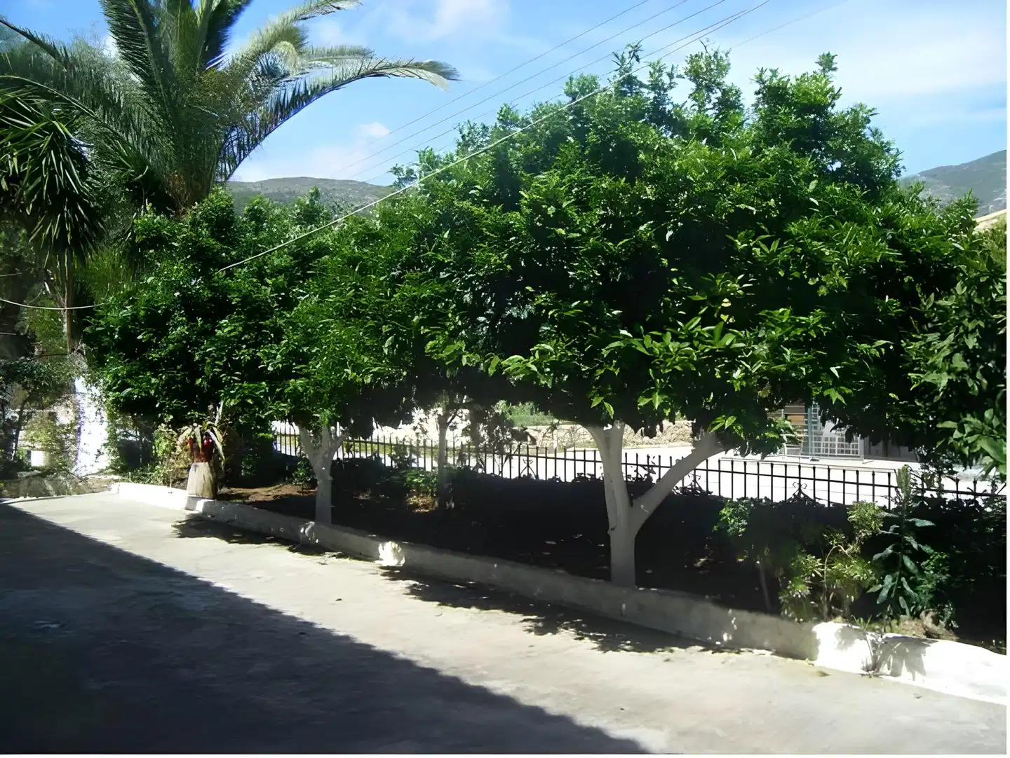 Nikos Studios Garten