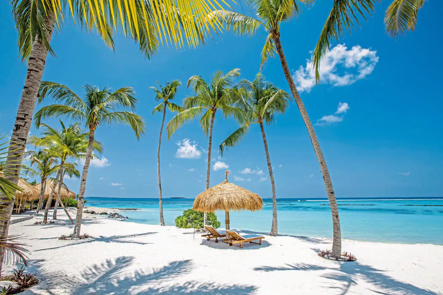 Emerald Maldives Resort & Spa Strand