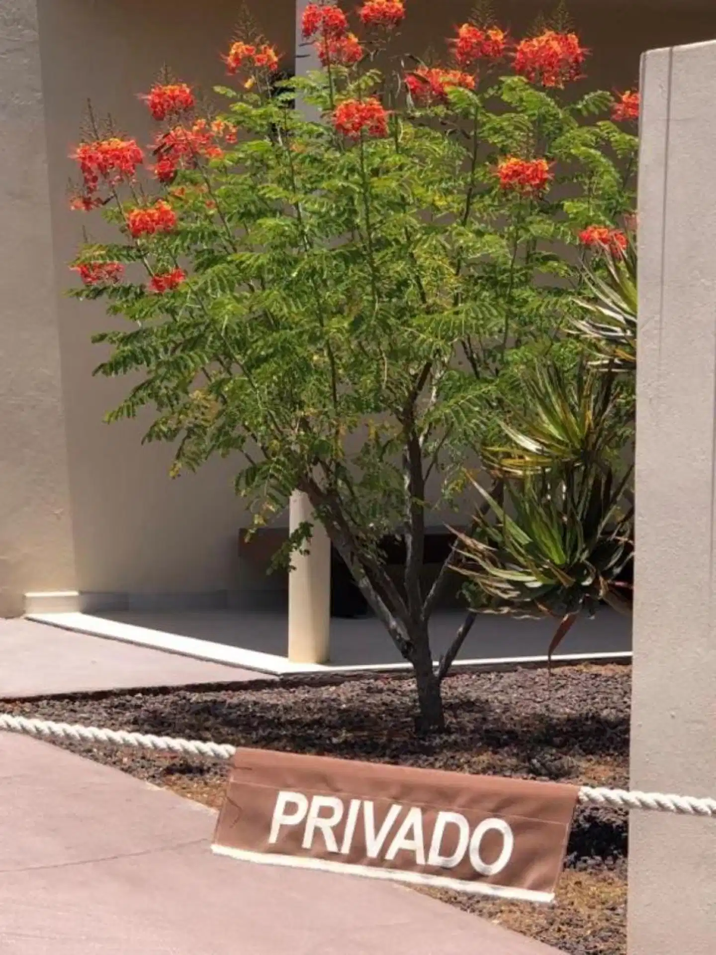 Hotel Fuerte Village Suites Terrasse