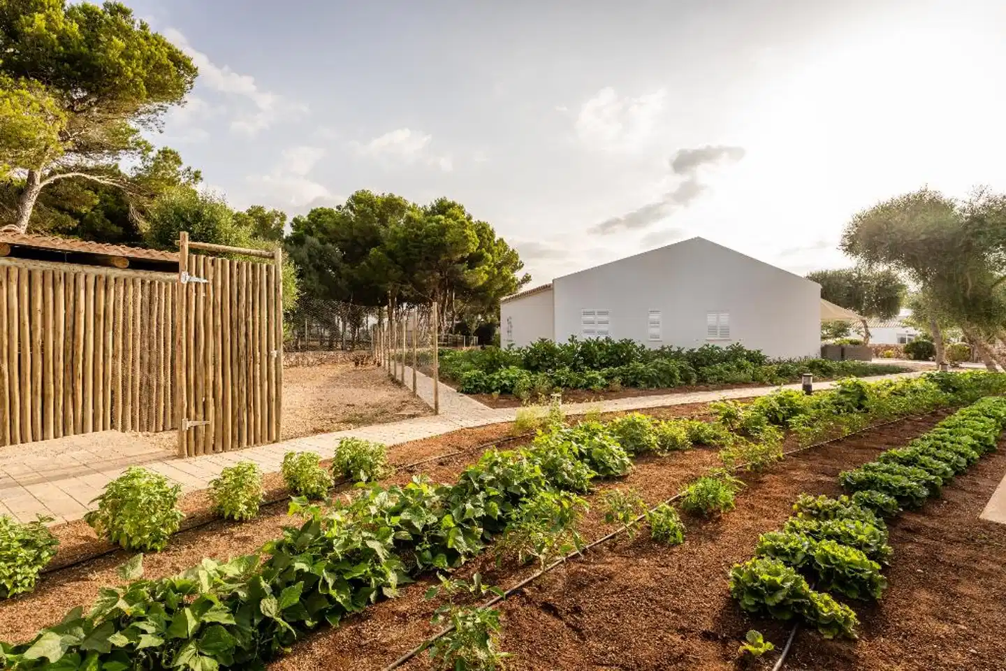 Lago Resort Menorca - Villas & Bungalows del Lago Garten